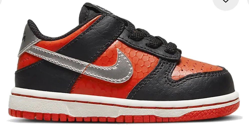Nike dunk low Martian TD