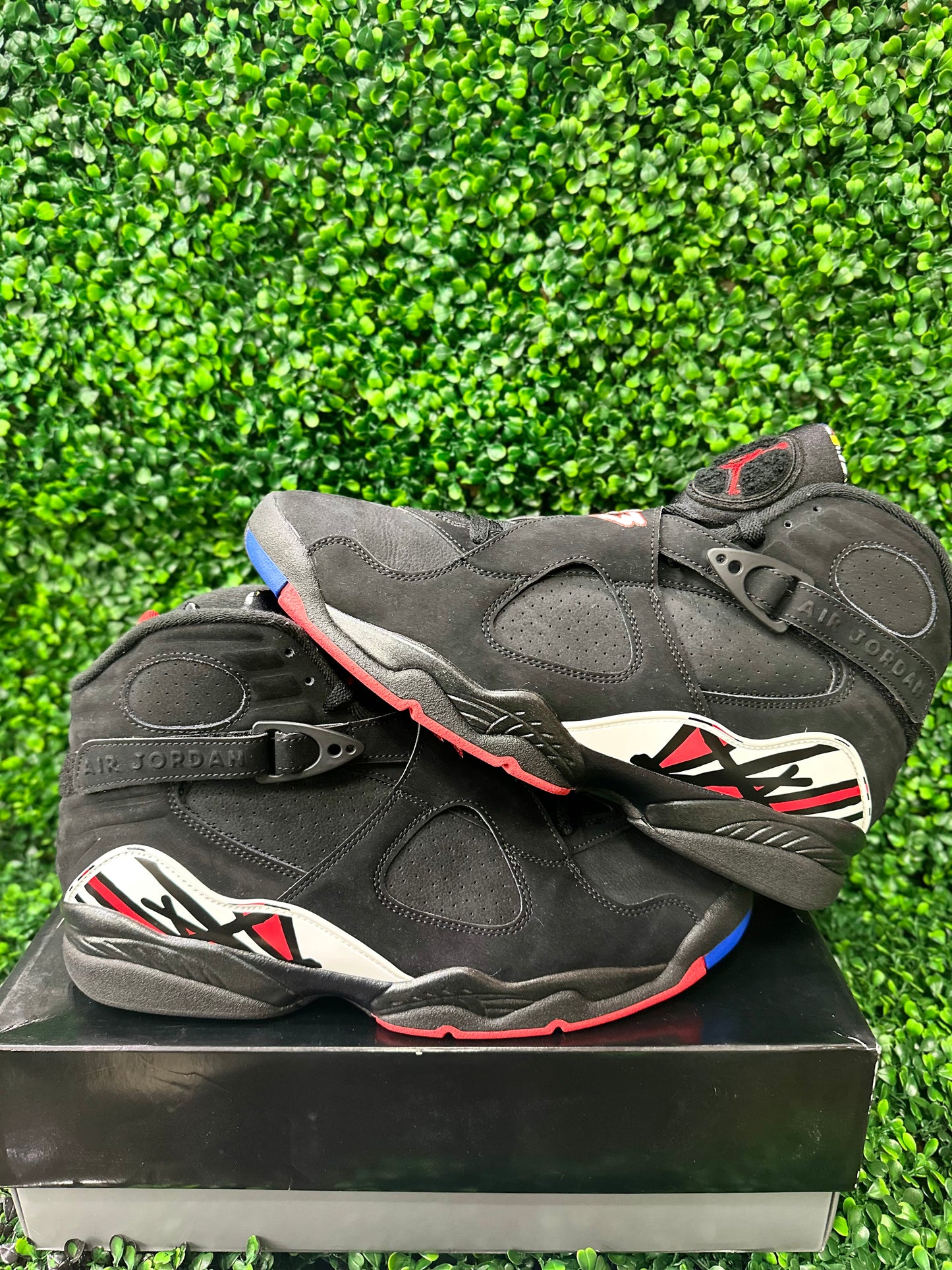 Jordan 8 playoffs