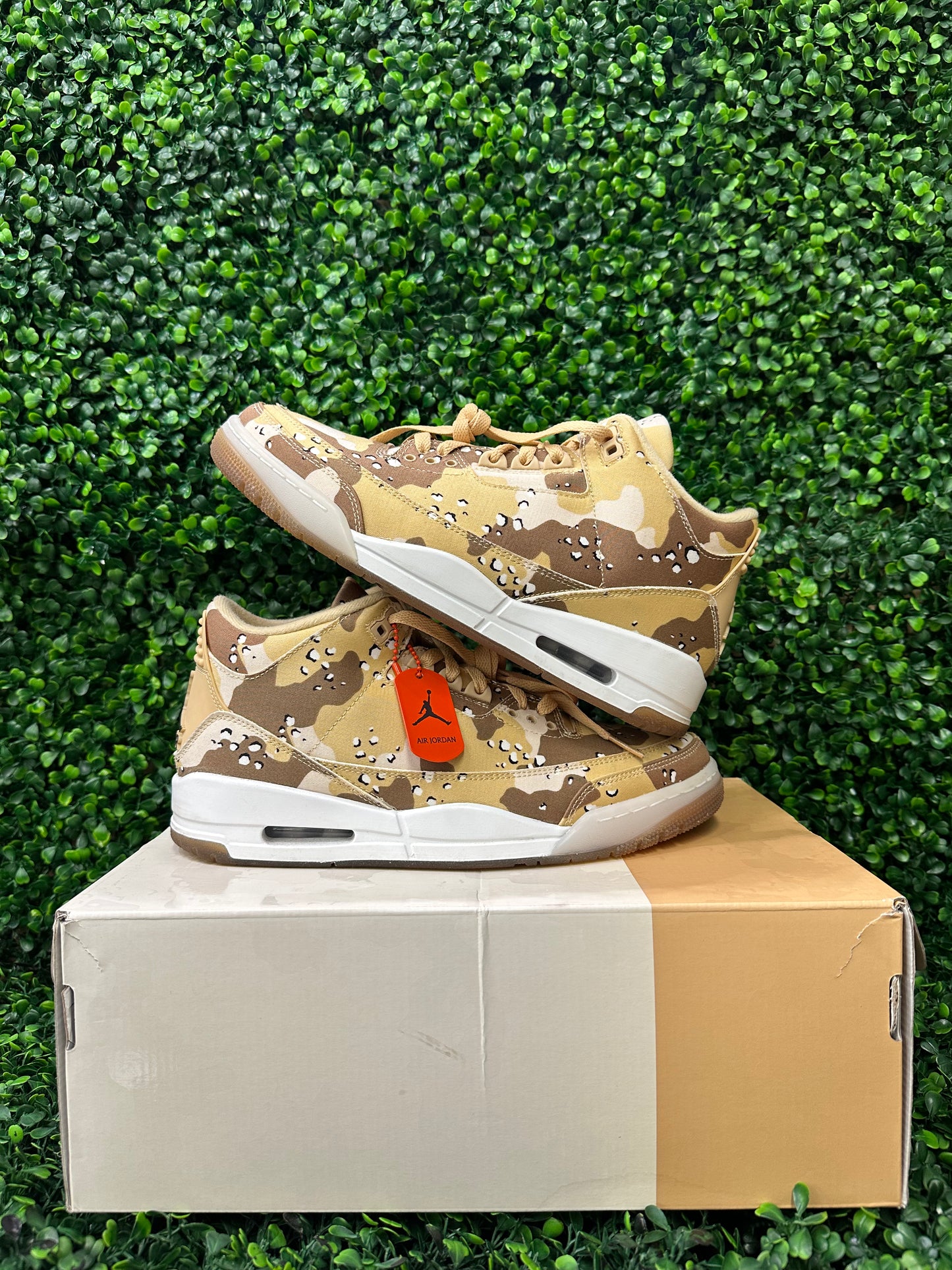 Jordan 3 camo
