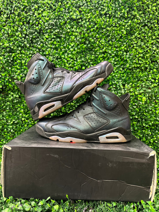 Jordan 6 chameleon (used w/box)