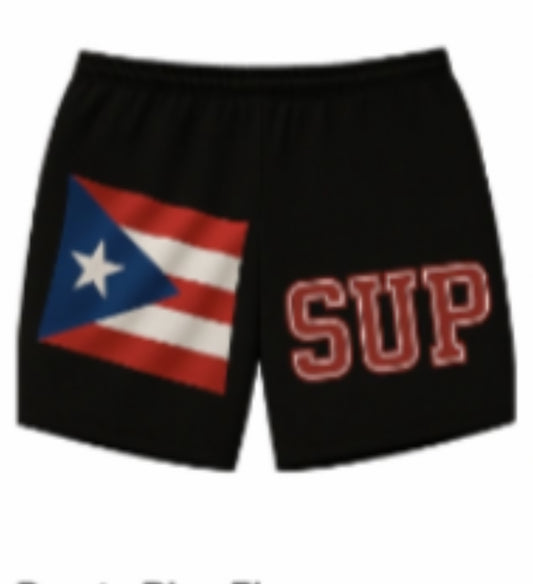Sup Puerto Rico flag shorts