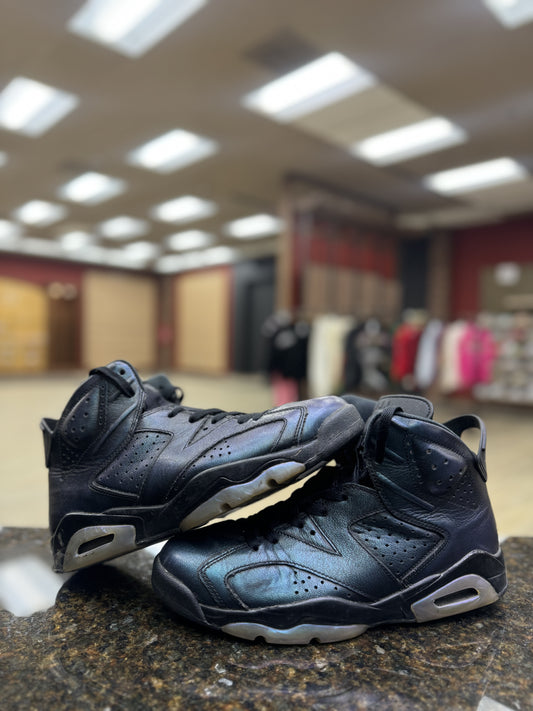 Jordan 6 Chameleons Used No Box